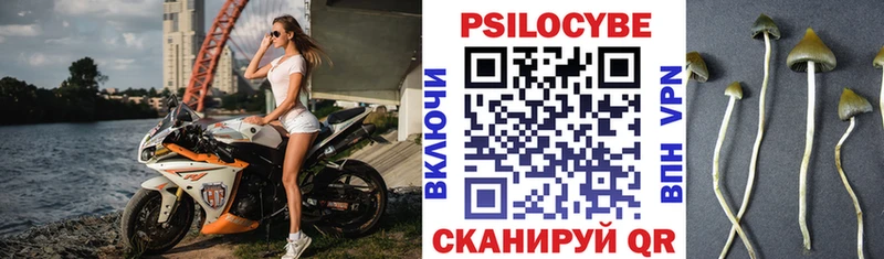 Псилоцибиновые грибы прущие грибы  Уржум 